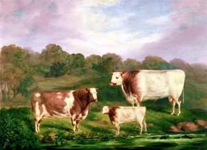Towneley Pedigrees